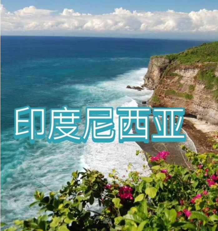 国国际电商(印尼)产业博览会不朽情缘游戏网站2025中(图3)