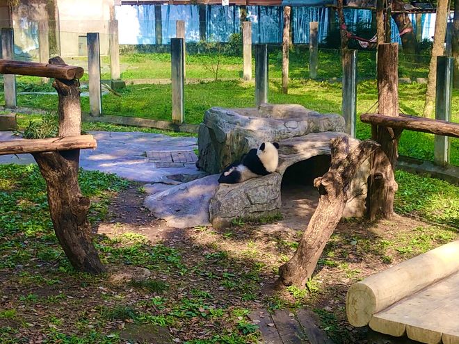 重庆旅游5日游十大必去景点+行程方案不朽情缘首页重庆旅游攻略带孩子自由行(图11)